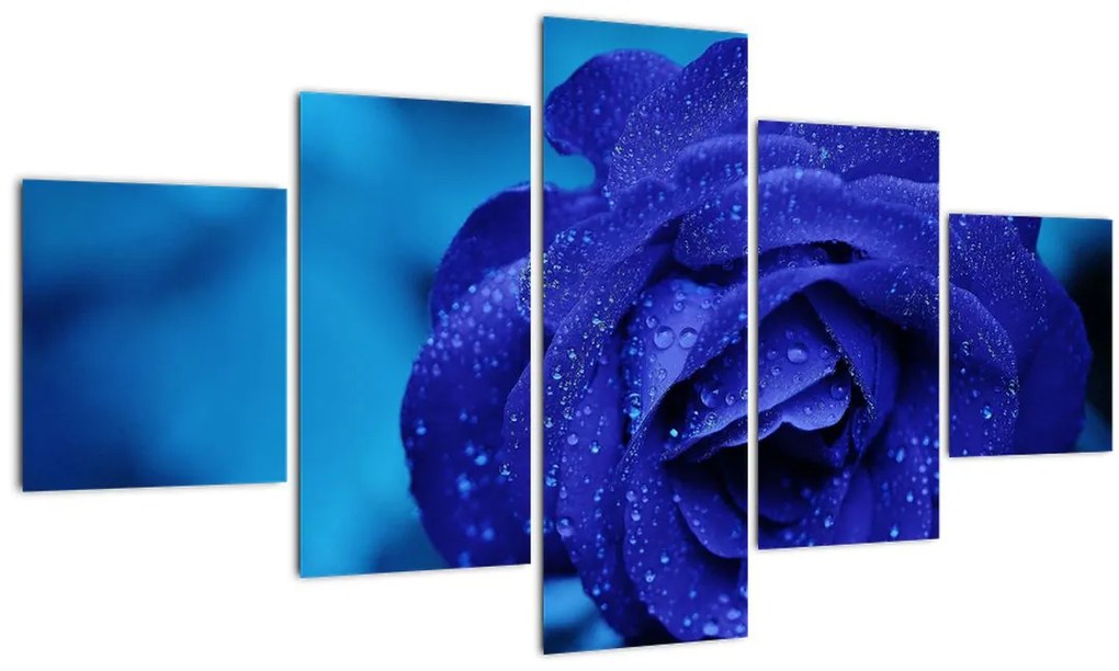 Obraz modrej ruže (125x70 cm), 40 ďalších rozmerov