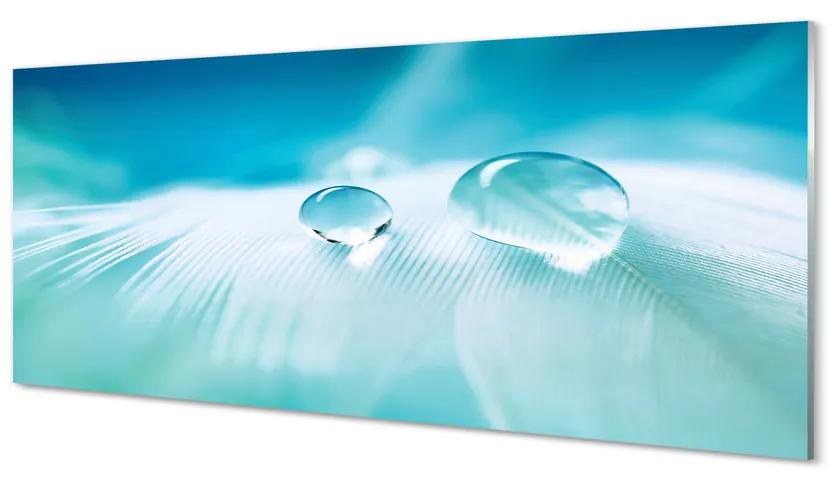 Obraz plexi Vodné kvapky makro 120x60 cm