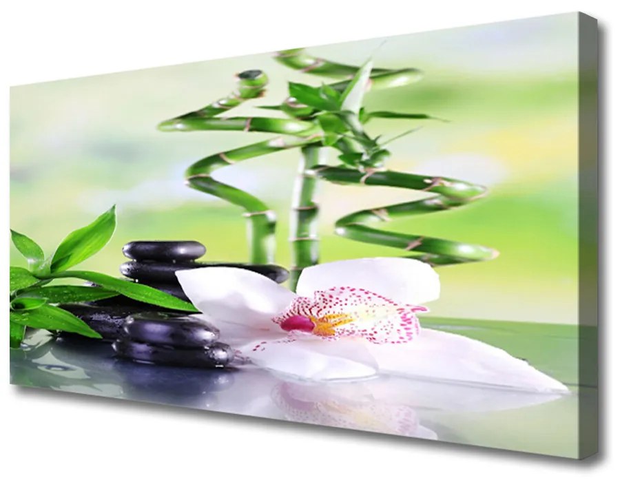 Obraz Canvas Orchidea bambus zen kúpele 140x70 cm