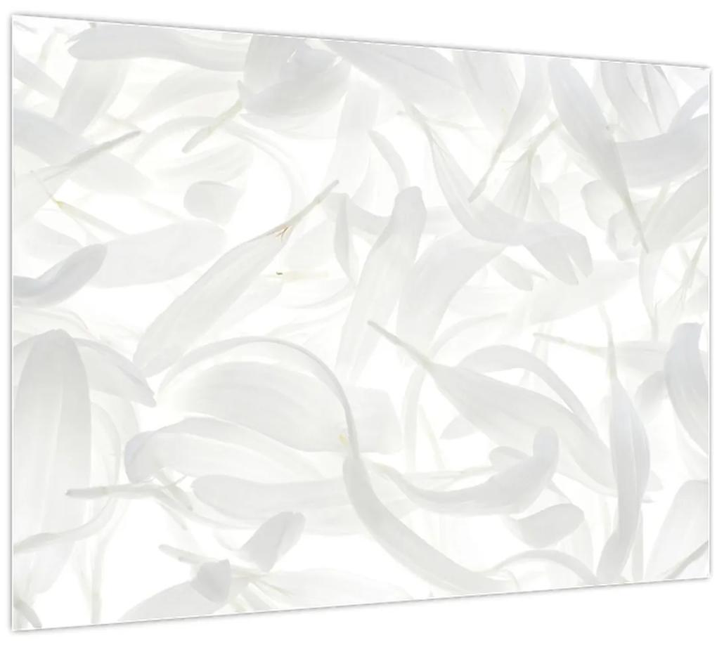 Obraz - Okvetné lístky (70x50 cm)