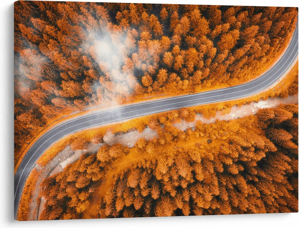 Obraz - Horská cesta (70x50 cm)