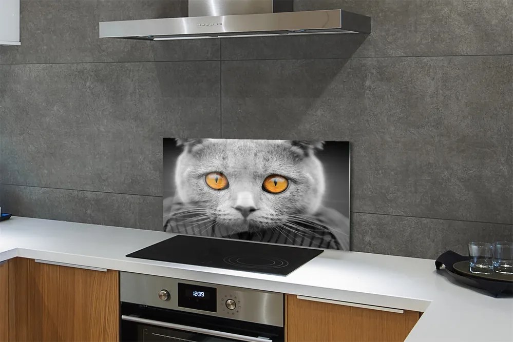 Nástenný panel  Sivá Britská mačka 120x60 cm
