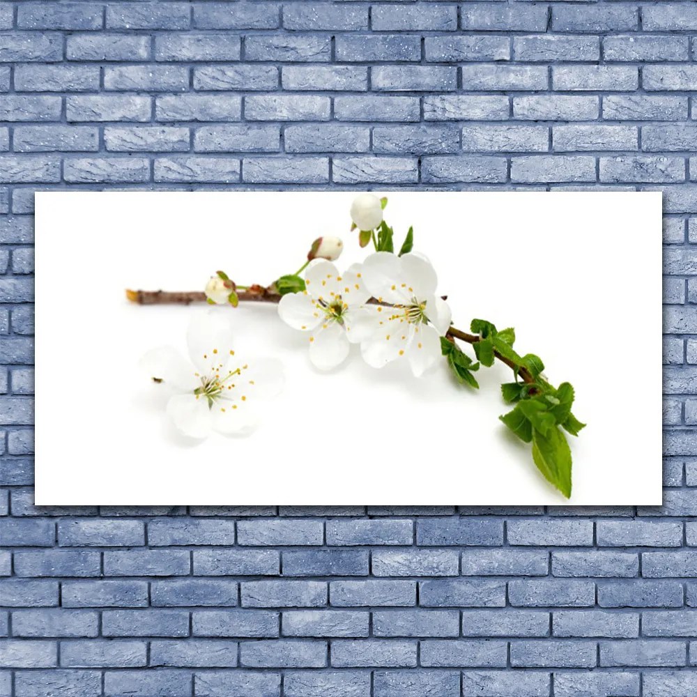 Obraz na akrylátovom skle Kvet vetva príroda 120x60 cm