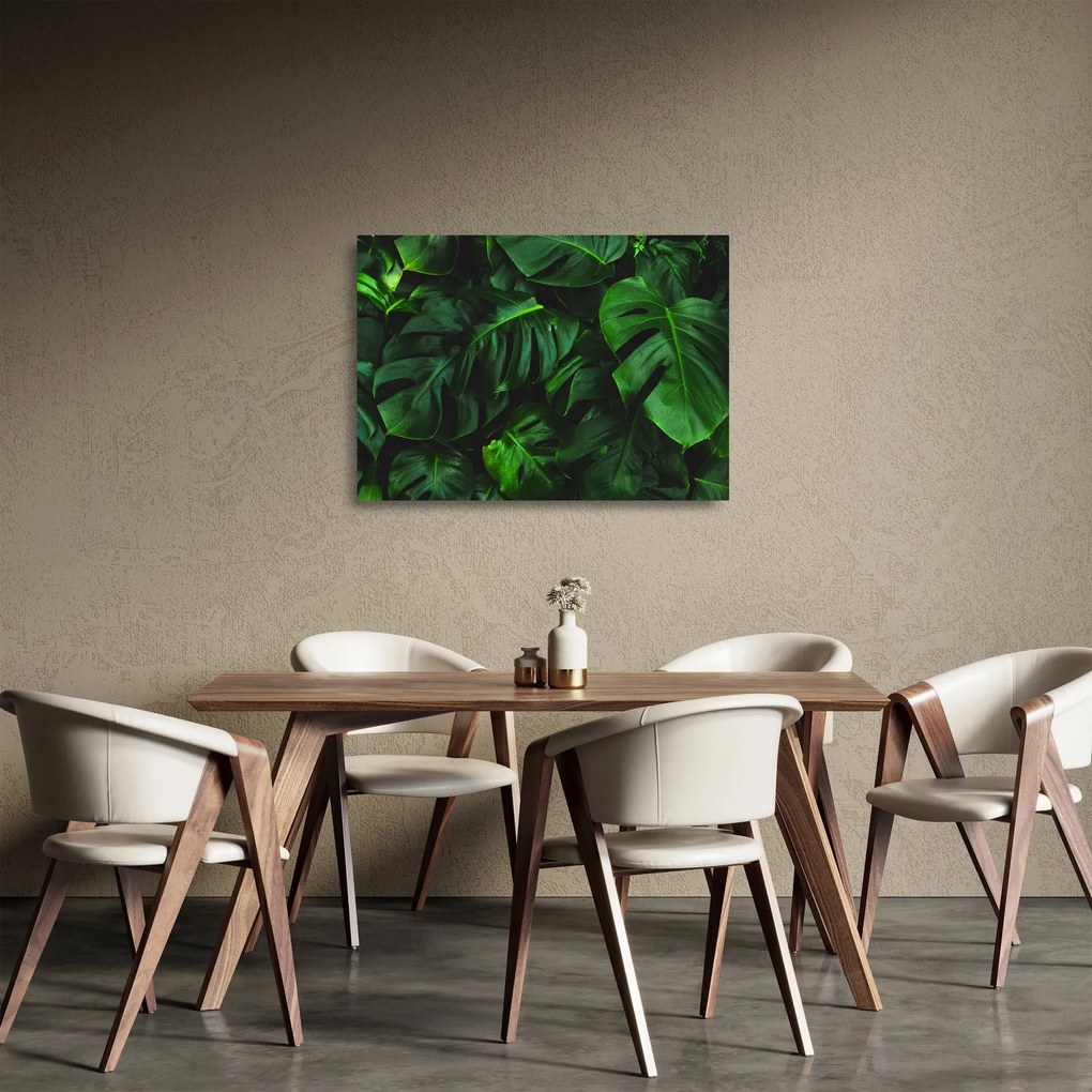 Sklenený obraz listov Monstery (70x50 cm)