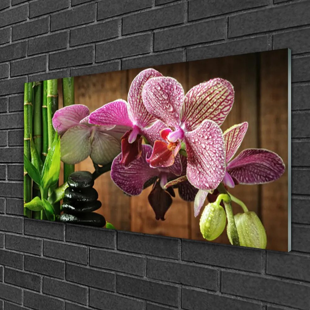Obraz na skle Kvetiny bambus rastlina 120x60 cm