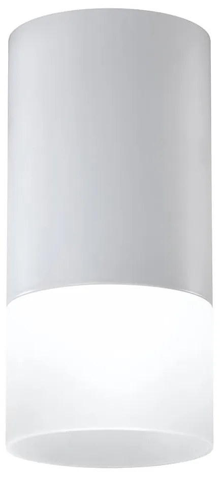 Bodové svietidlo TUBA 1xGU10/15W/230V šedá/biela