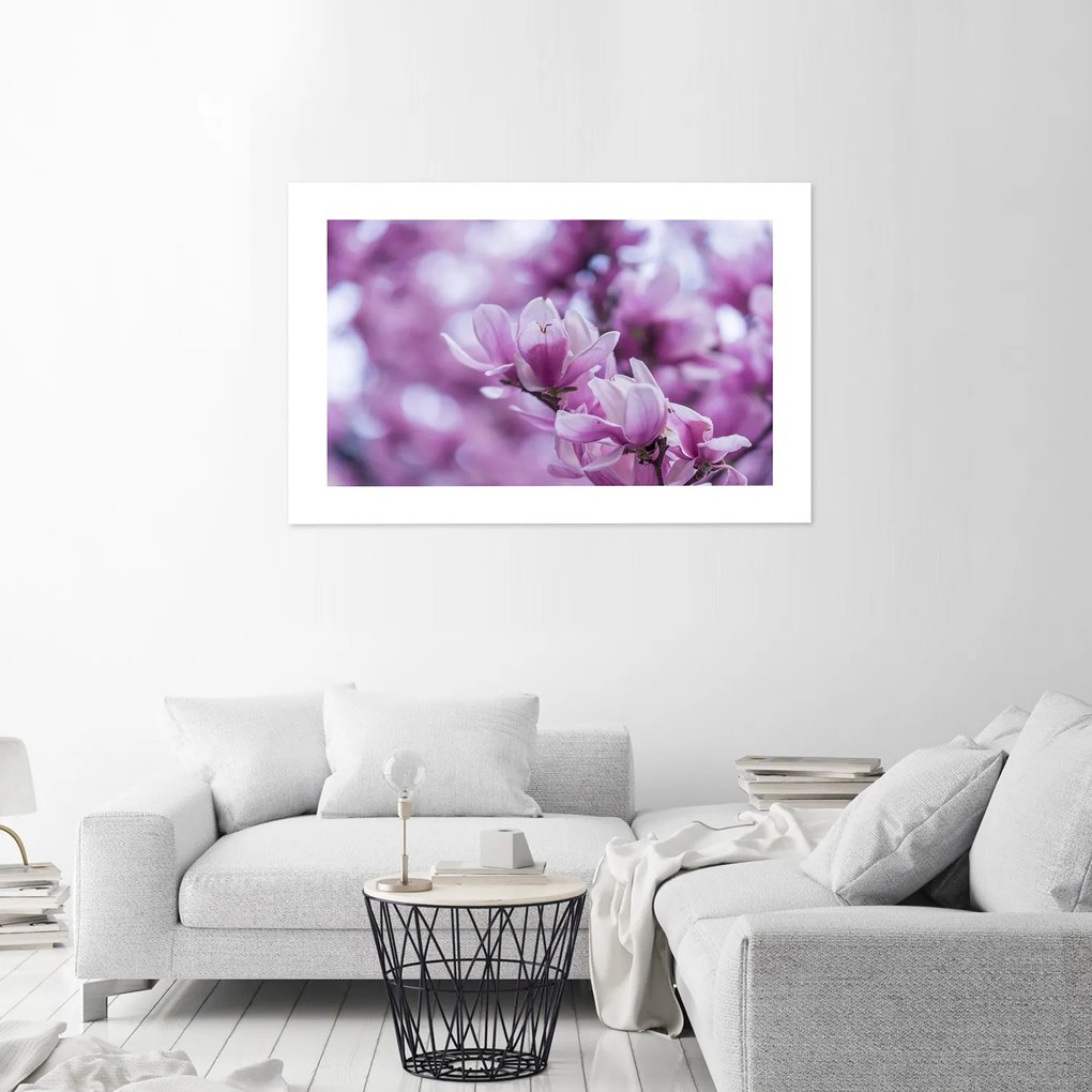 Gario Plagát Kvety magnólie Farba rámu: Bez rámu, Rozmery: 100 x 70 cm