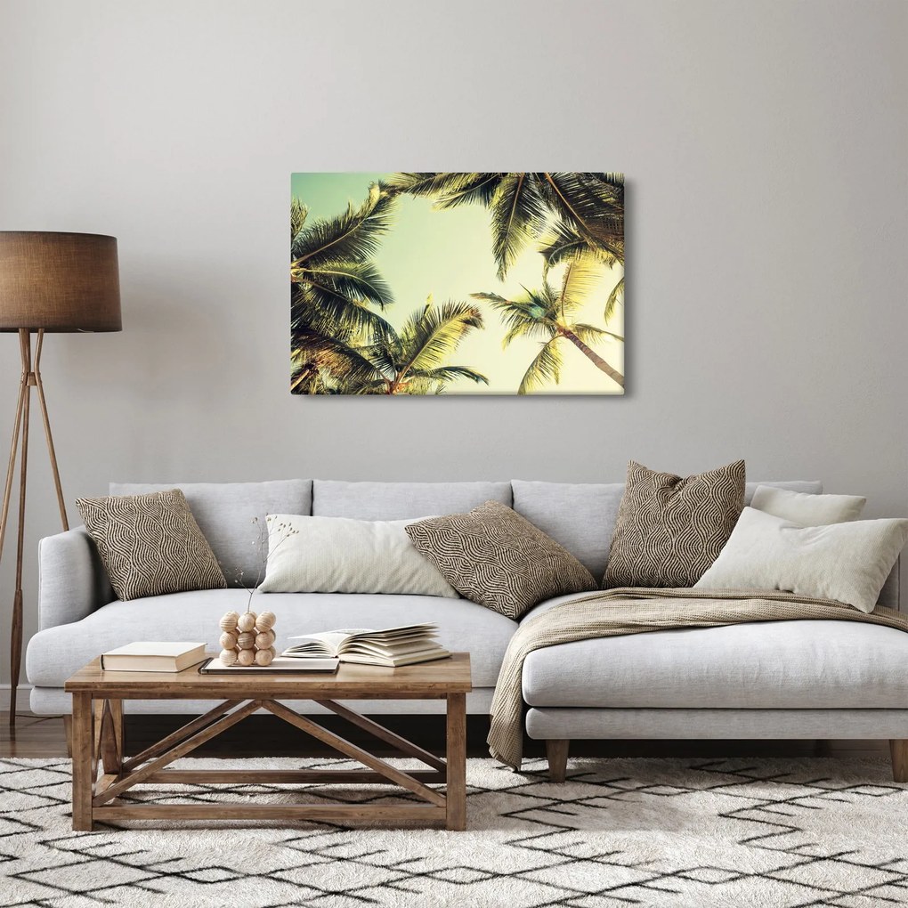 Obraz s kokosovými palmami (90x60 cm)