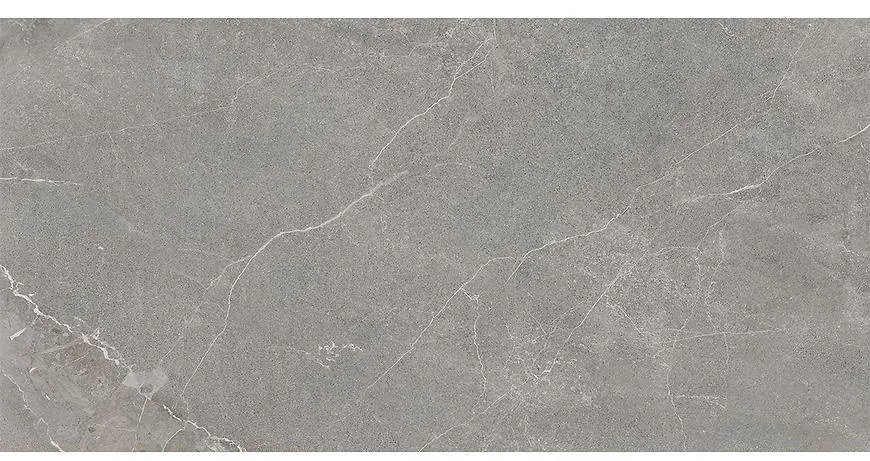 Wermex Light Grey 59,8/119,8