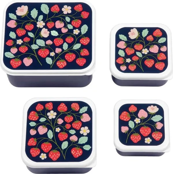 Sada 4 boxov na obed a desiatu Jahody
