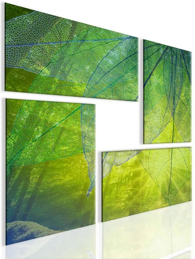 InSmile Obraz atypický obraz les(80x80 cm)