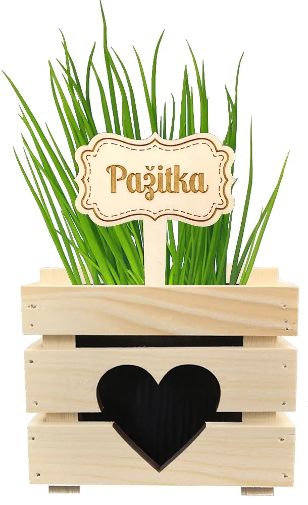 AMADEA Drevený zápich - ceduľka na bylinky Pažítka, výška 20 cm, český výrobok
