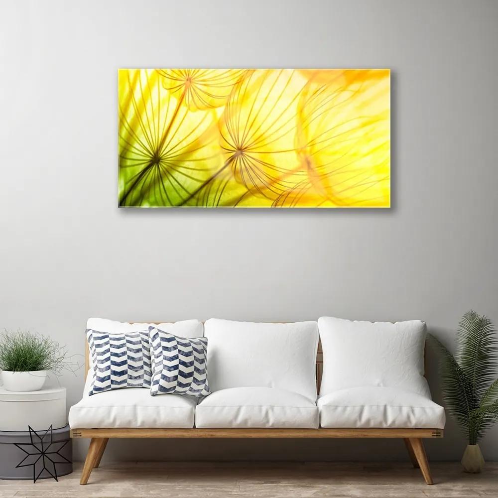 Obraz plexi Púpavy kvety príroda 100x50 cm