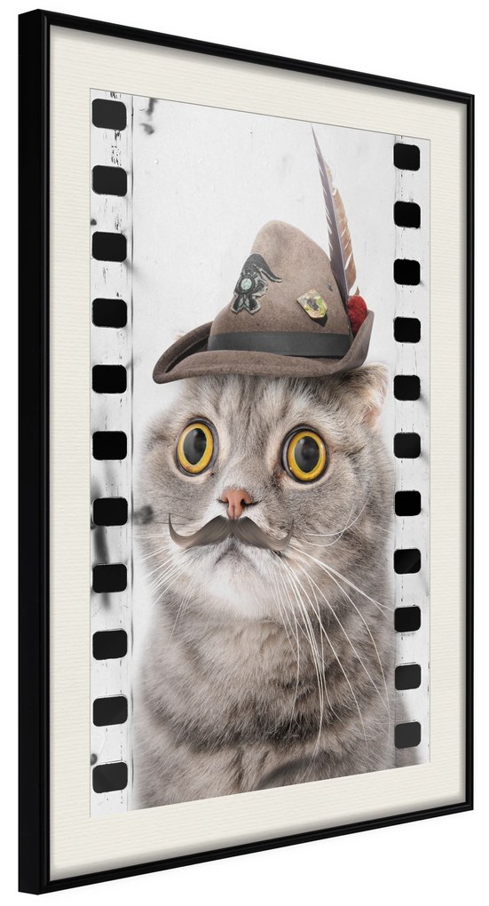 Artgeist Plagát - Cat In Hat [Poster] Veľkosť: 30x45, Verzia: Zlatý rám