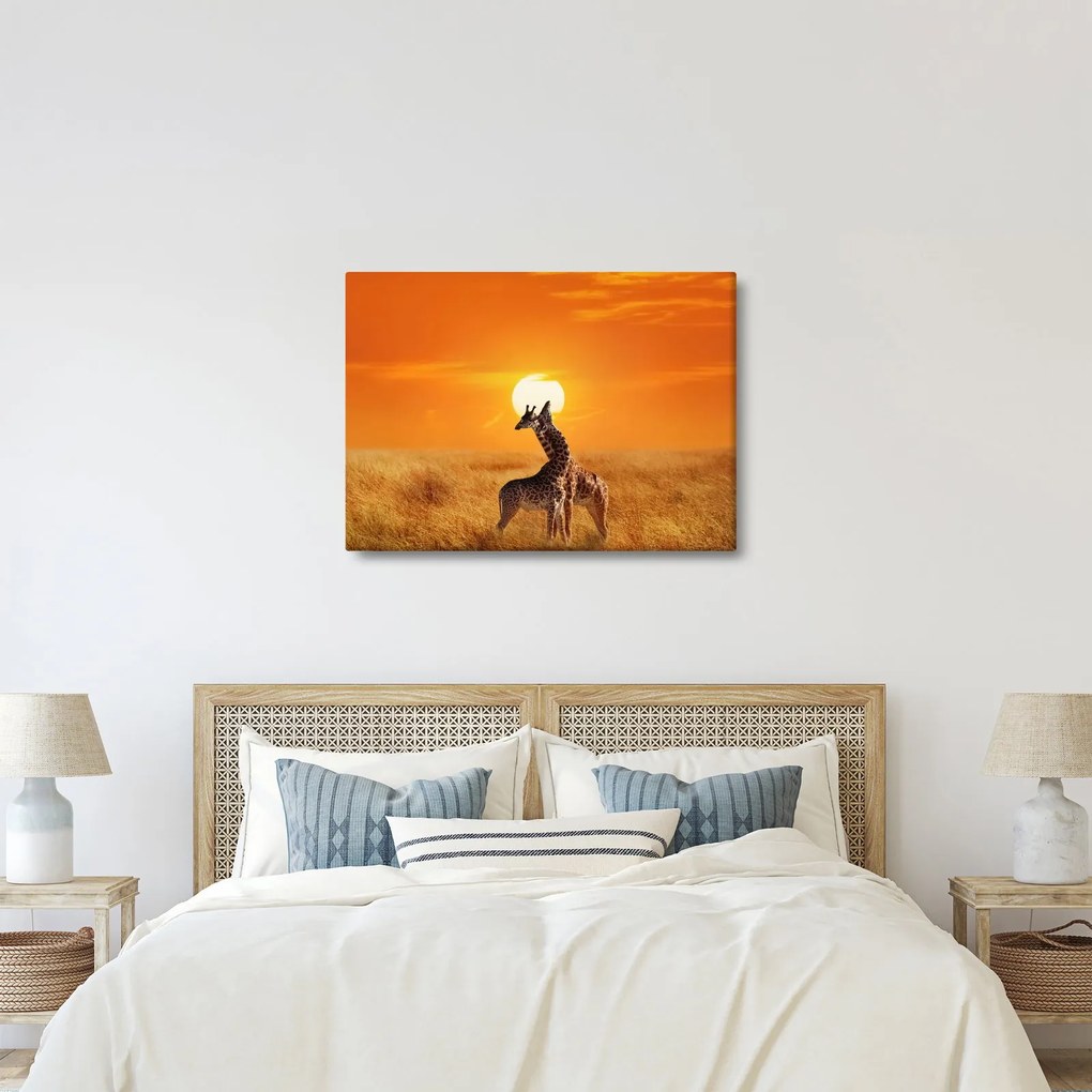 Obraz - Žirafy v národnom parku Serengeti (70x50 cm)