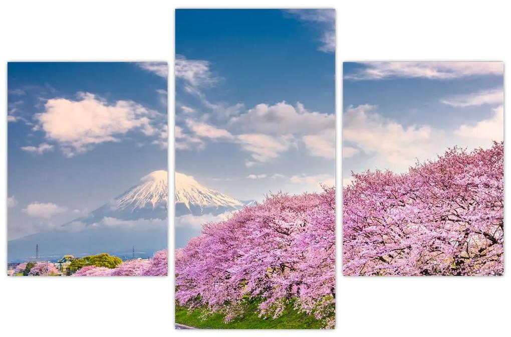 Obraz - Japonská jarná krajina (90x60 cm)