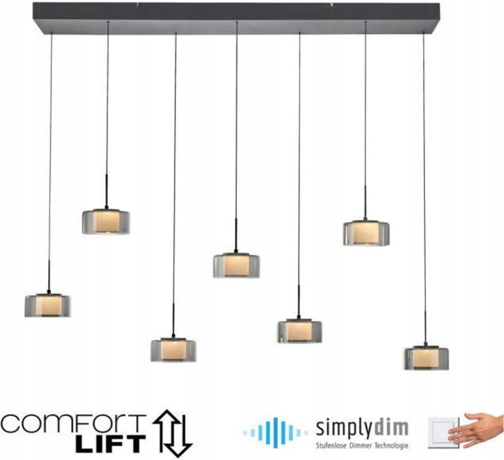 Paul Neuhaus Rika Led závesné svietidlo 7 ramien čierne, nastaviteľná výška, s