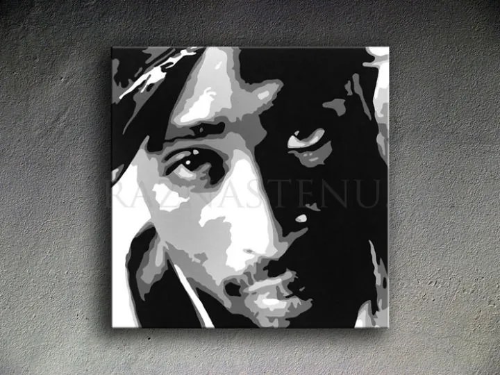 Ručne maľovaný POP Art obraz 2 PAC | rôzne rozmery