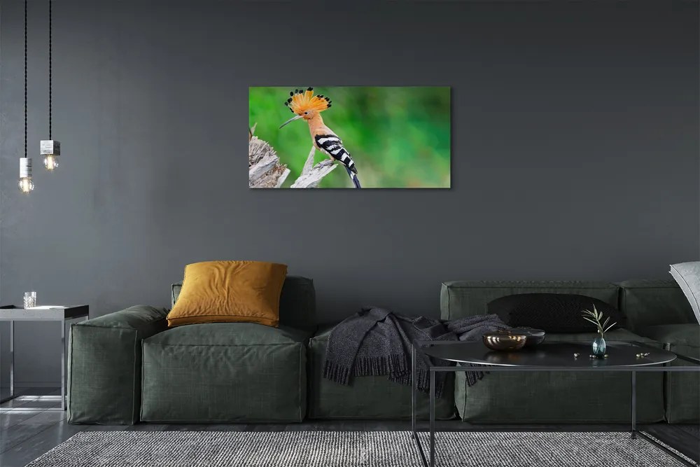 Obraz na plátne Strom farebný papagáj 120x60 cm