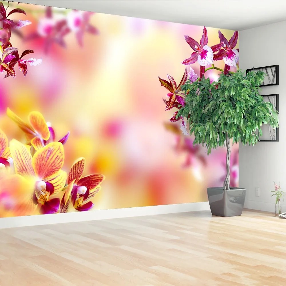 Fototapeta Vliesová Ružová orchidea 104x70 cm