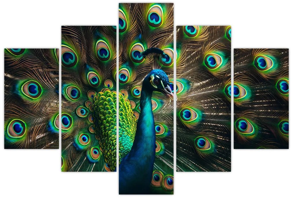 Obraz – Páv (150x105 cm)