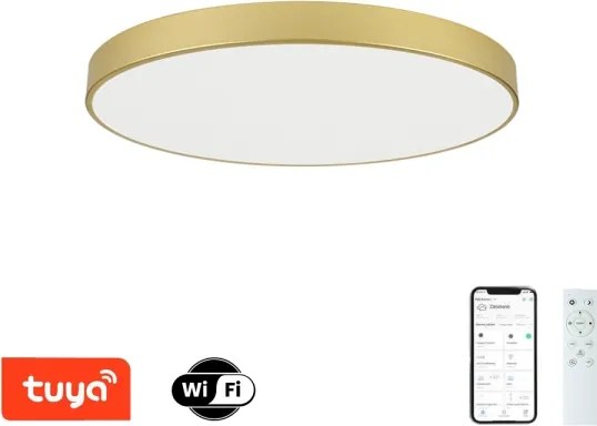 Brilagi - LED stmievateľné svietidlo POOL SMART LED/100W/230V 80 cm zlaté Wi-Fi Tuya+DO
