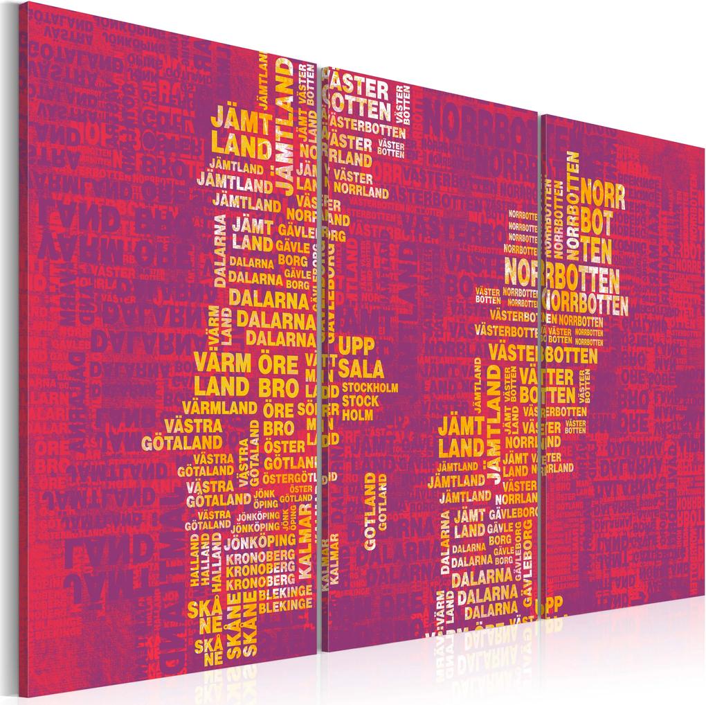Obraz - Text map of Sweden (pink background) - triptych 120x80