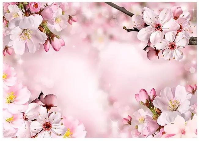 Fototapeta - Spring Cherry Blossom Veľkosť: 100x70, Verzia: Premium
