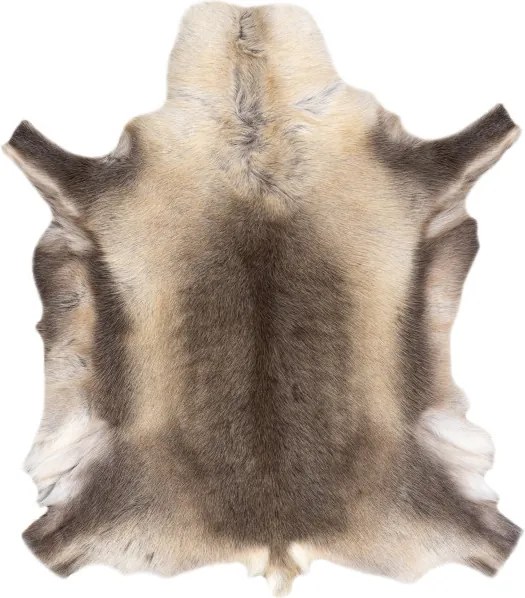 Koberec RENIFER POK012 PREMIUM sivý / béžový