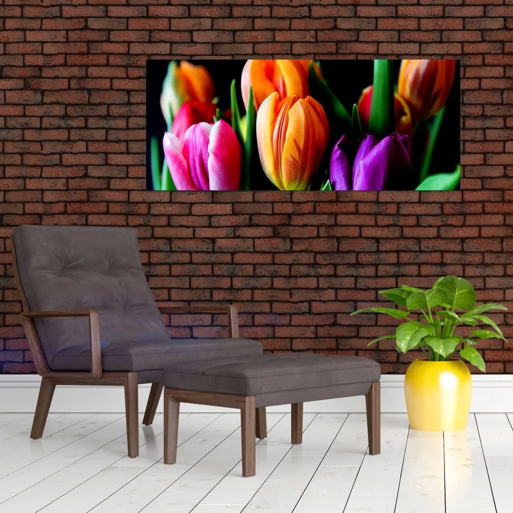 Obraz tulipánov na čiernom pozadí (120x50 cm)