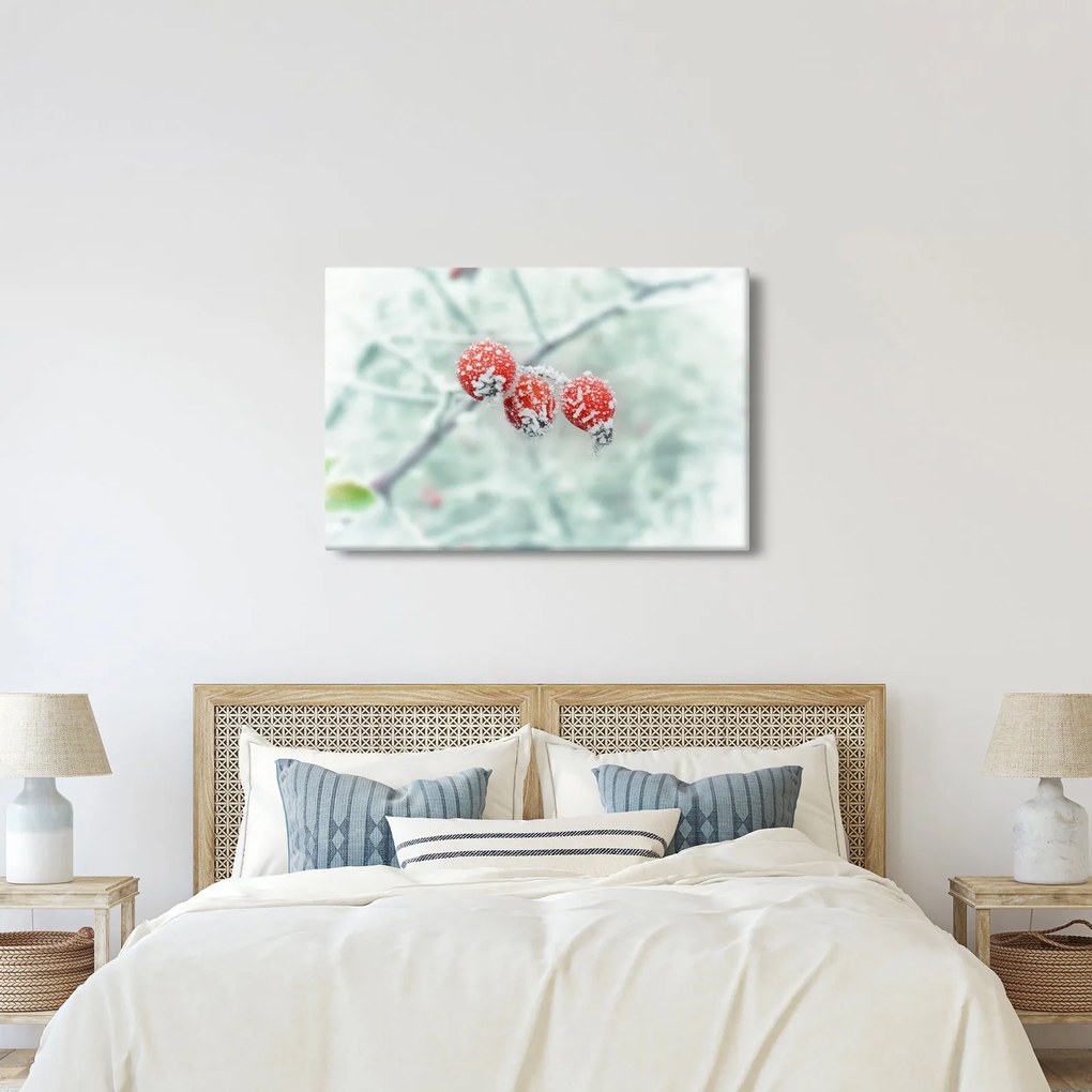 Obraz zmrznutých šípok (90x60 cm)