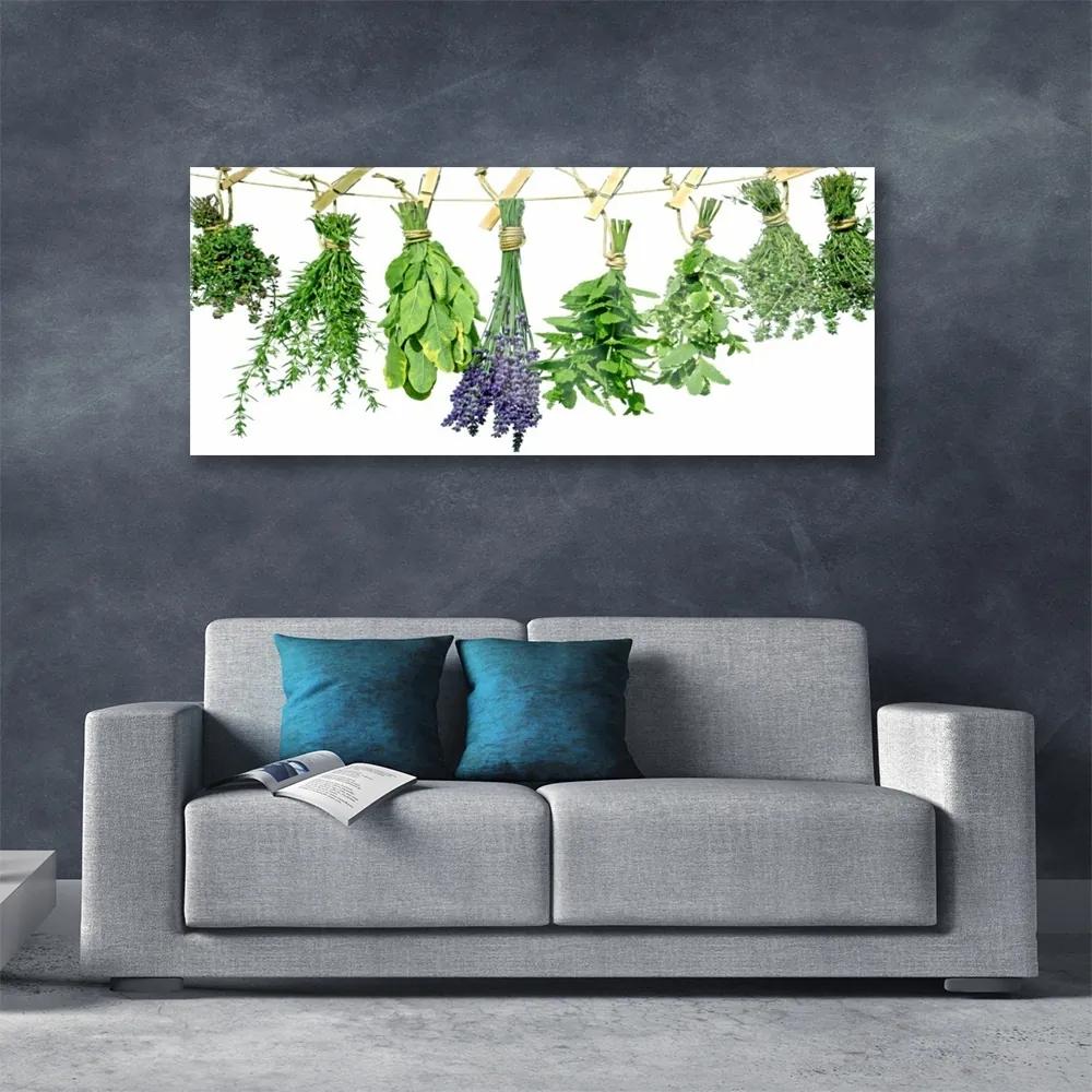 Obraz plexi Plátky kvety byliny 125x50 cm