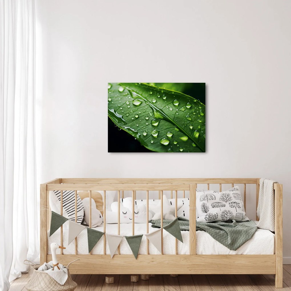 Obraz - List po daždi (70x50 cm)