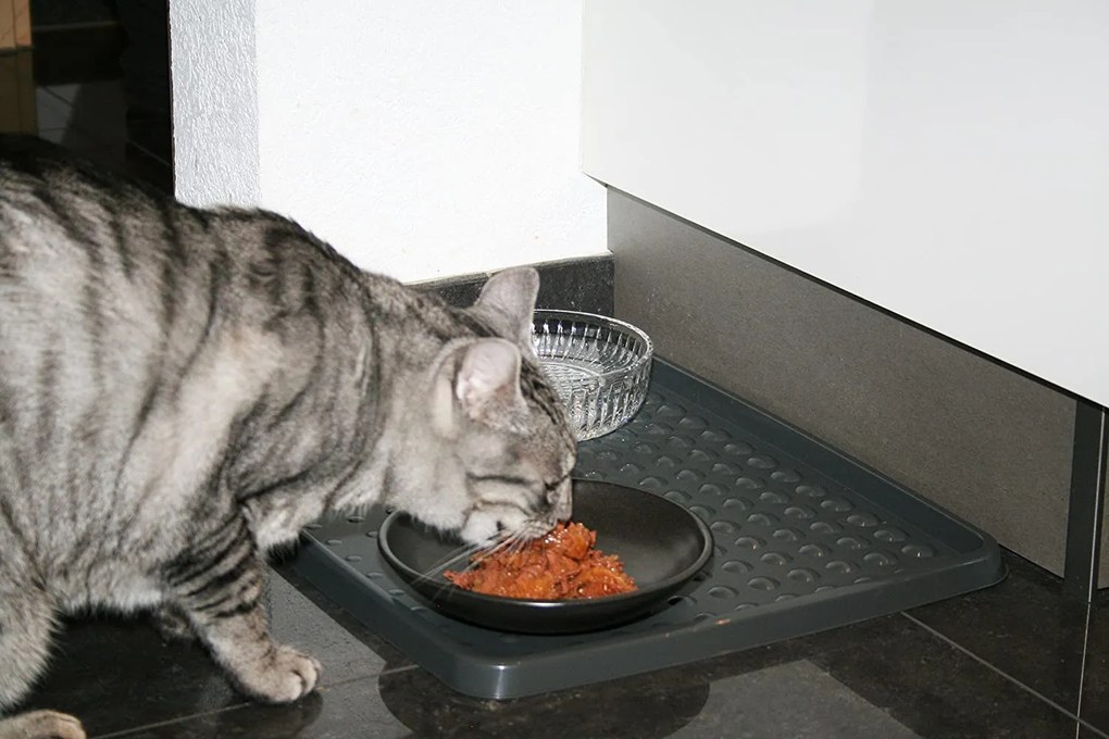 Rotho Odkvapkávač na topánky, podložka ANTI-DROPS, 48x37 cm, antracit