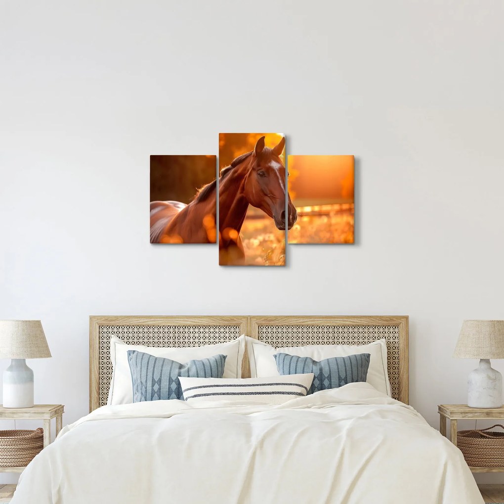 Obraz - Kôň v západe slnka (90x60 cm)
