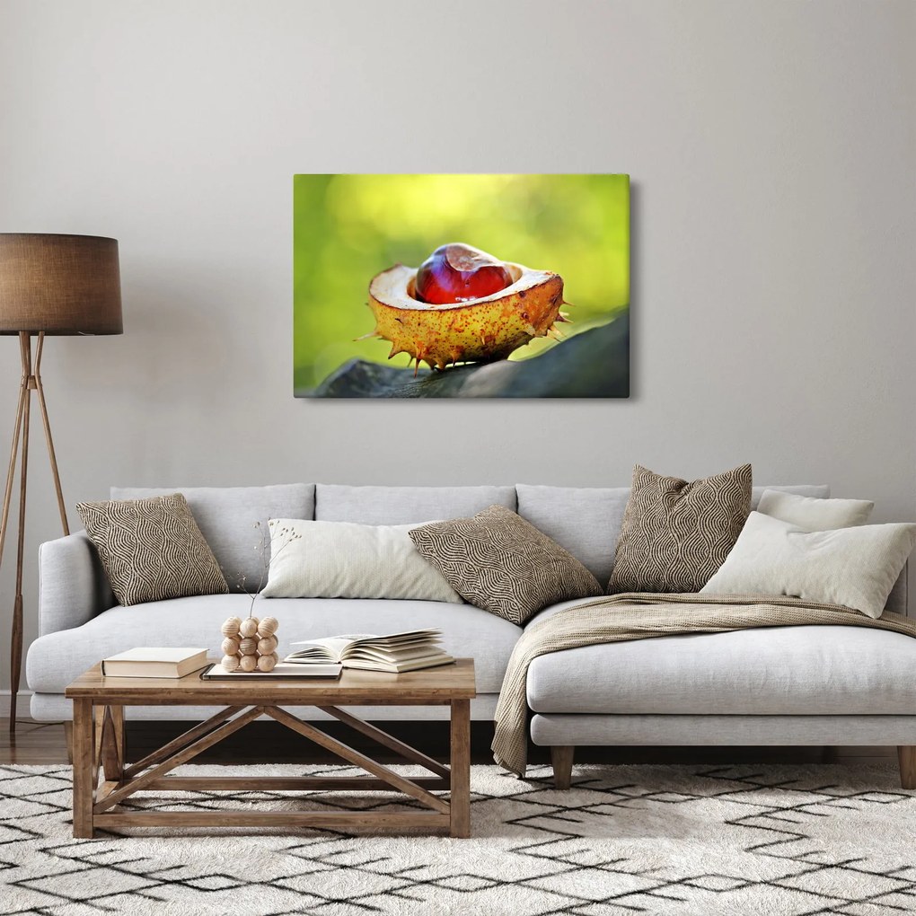 Obraz gaštanov (90x60 cm)