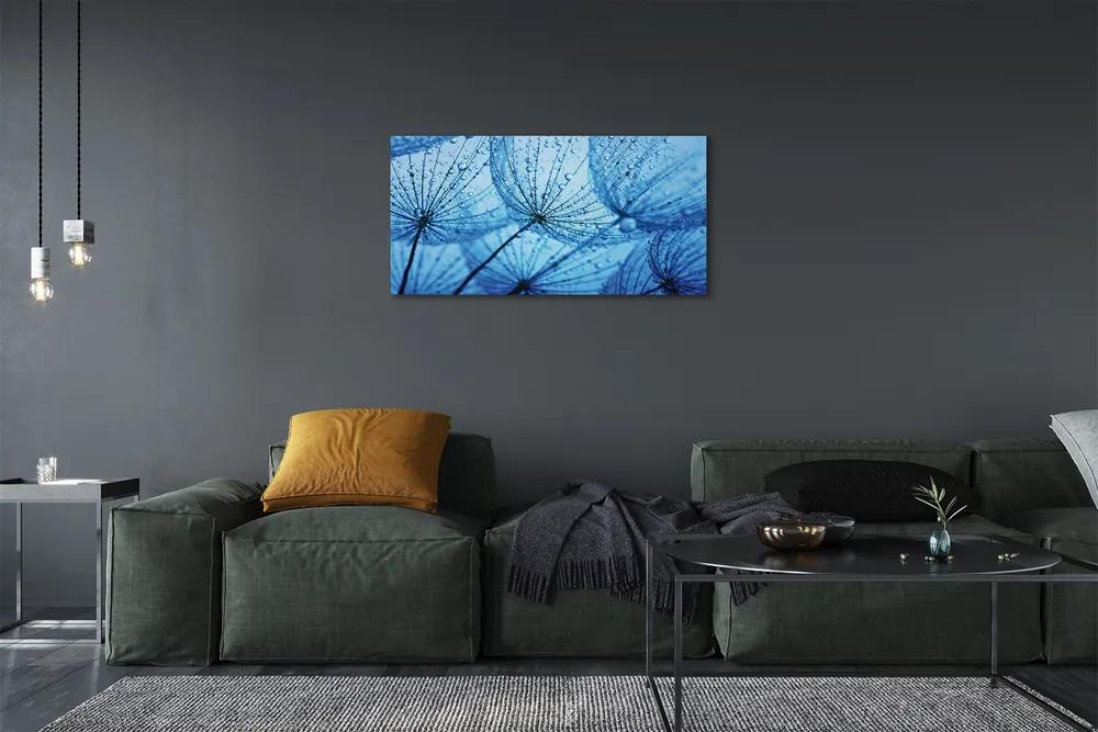 Obraz canvas Kvapky makro púpavy 100x50 cm