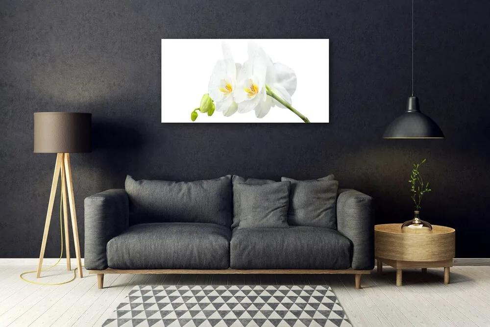 Skleneny obraz Plátky kvet bíla orchidea 140x70 cm