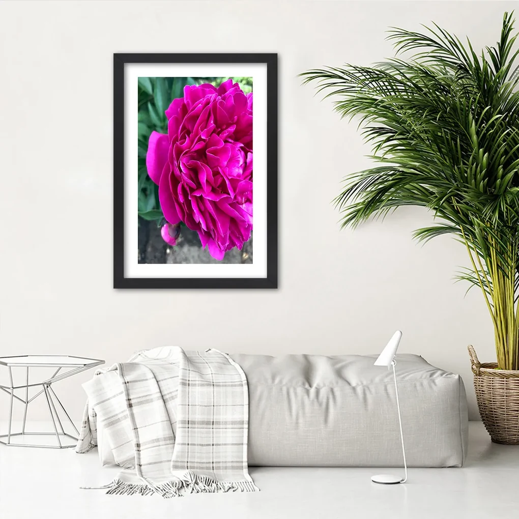Gario Plagát Ružový veľký kvet Farba rámu: Bez rámu, Rozmery: 40 x 60 cm