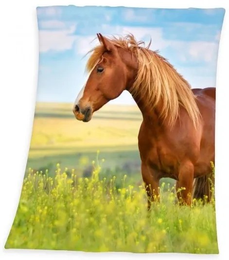 Detská Fleece deka Kôň 130x160 cm