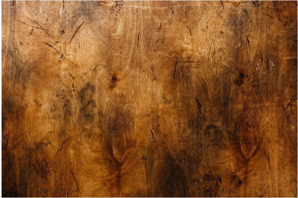 Obraz - Detail dreva (90x60 cm)