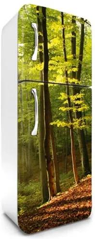 Samolepiace tapety na chladničku, rozmer 180 cm x 65 cm, les na jeseň, DIMEX FR-180-028