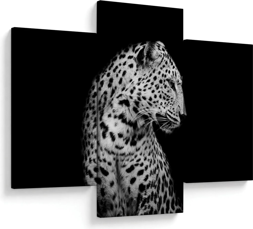 Obraz - Leopard (90x60 cm)