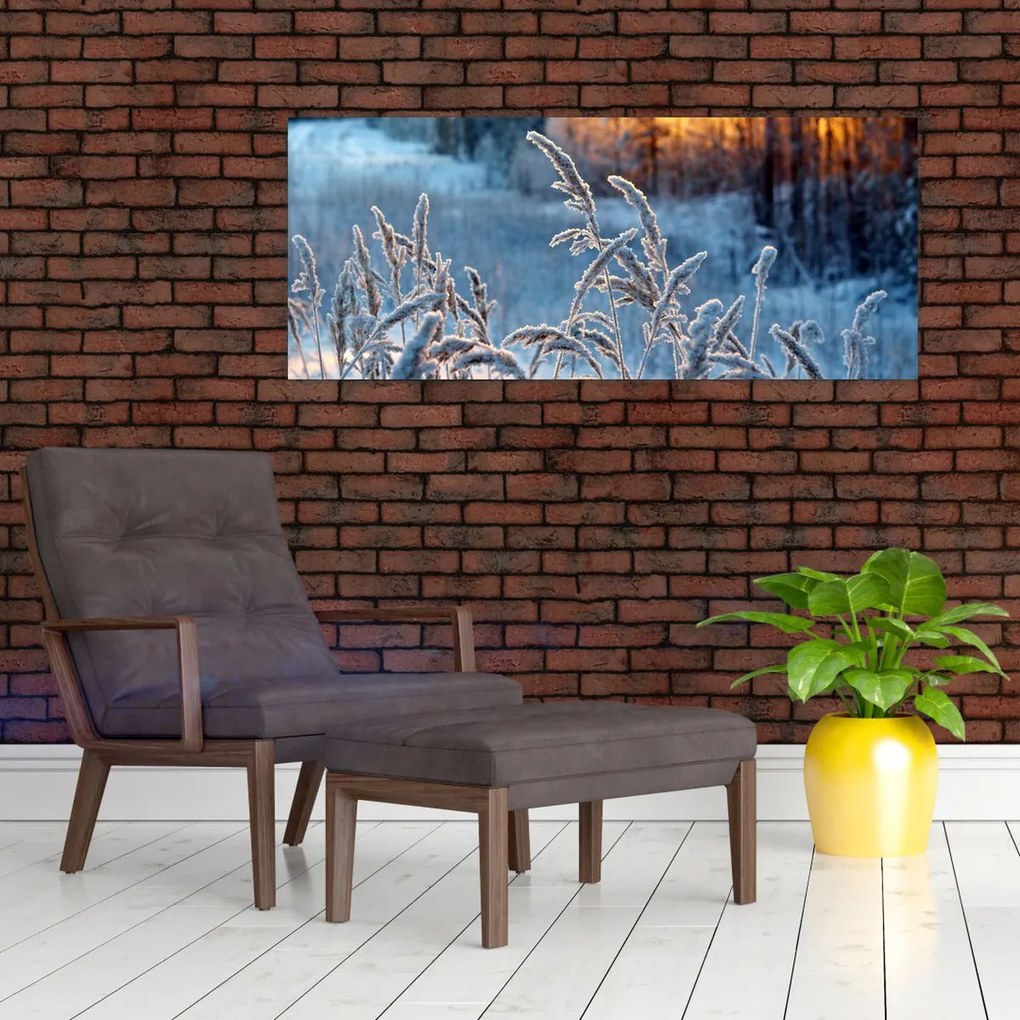 Obraz - Zimná lúka (120x50 cm)