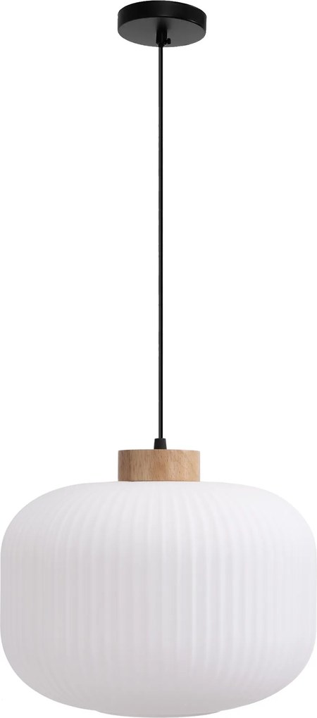 Toolight Toolight, stropné svietidlo zo skla 1xE27, biela, OSW-04412