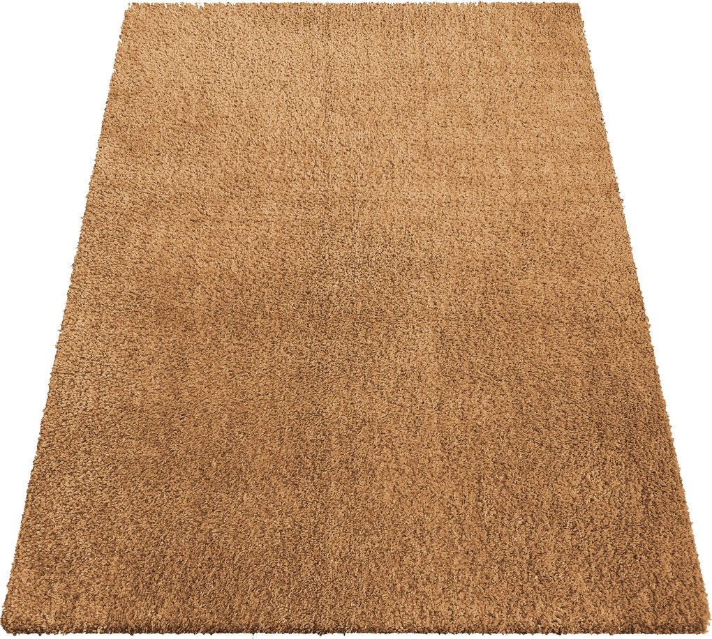 Hnedý shaggy koberec Kamel – obdĺžnikový, mäkký vlas Rozmer: 60x100 cm