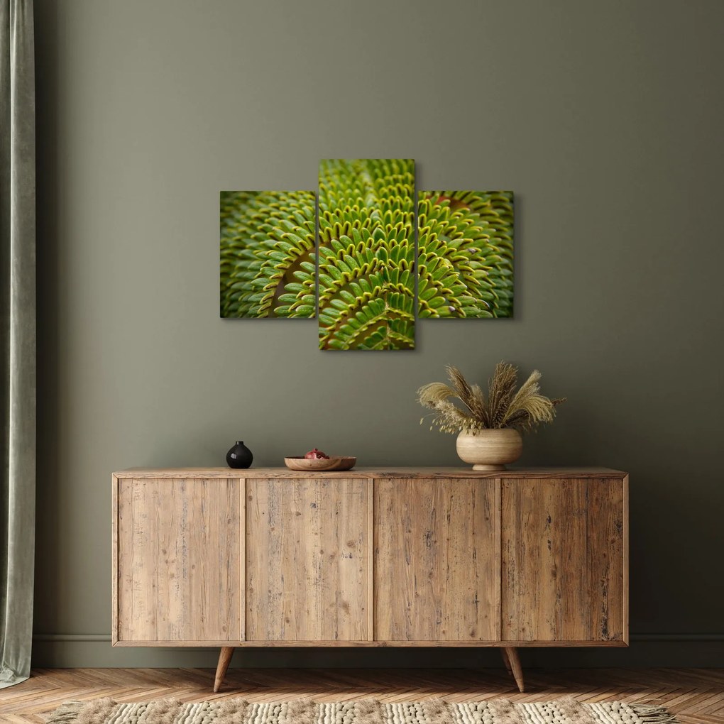 Obraz - Papraď (90x60 cm)