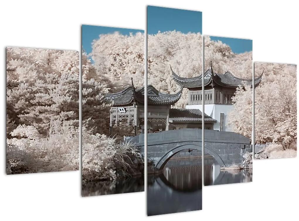 Obraz - Rozkvitnuté stromy v Ázii (150x105 cm)