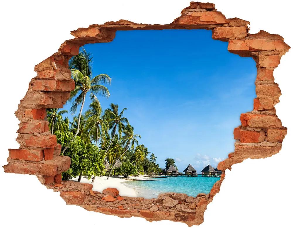 Diera 3D foto tapeta nálepka Beach v karibiku nd-c-112295720