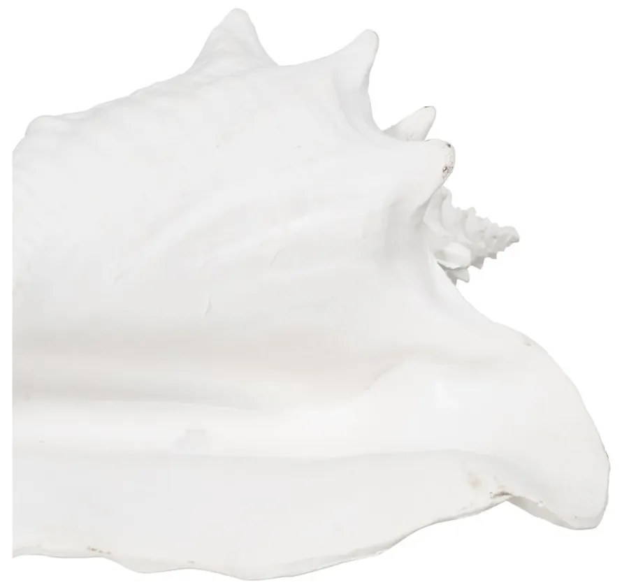 Soška z polyresínu (výška 13 cm) Seashell – Ixia